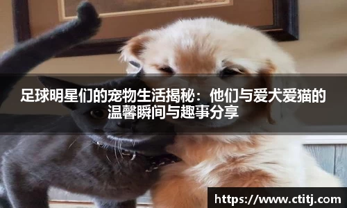 凤凰联盟首页官网